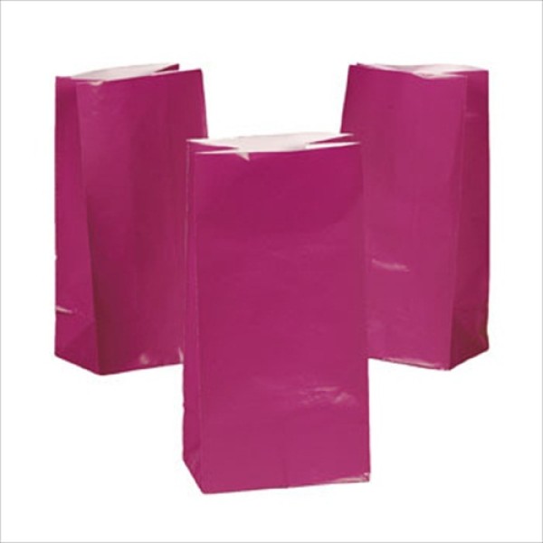 12-Pack Fuchsia Hot Pink Paper Treat Bags 12-Pack Fuchsia Hot Pink Paper Treat Bags